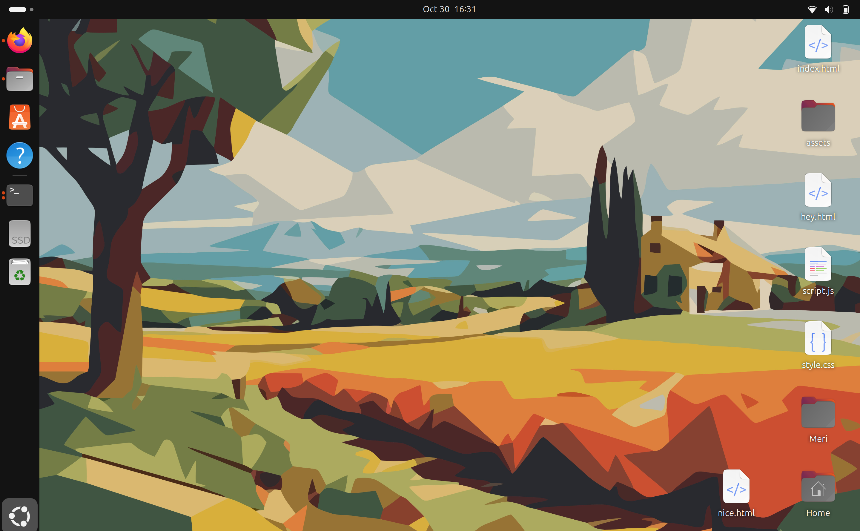 Ubuntu Installation Screenshot